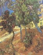 Vincent Van Gogh Trees in the Garden of Saint-Paul Hospital (nn04) oil painting reproduction